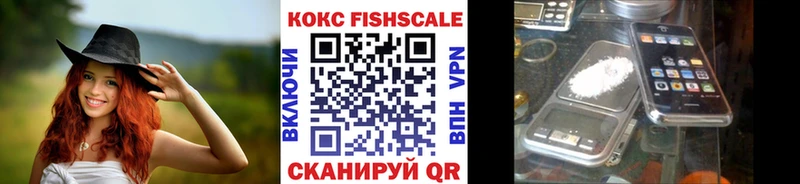 площадка Telegram  Суровикино  Cocaine Fish Scale  купить закладку 