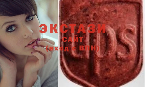 индика Алексин