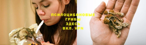 индика Алексин