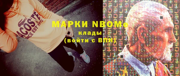 индика Алексин