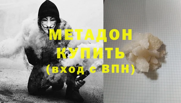 индика Алексин